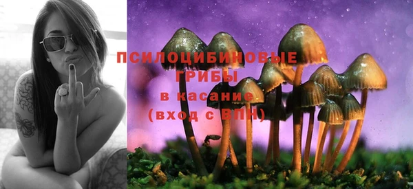 jwh Медвежьегорск